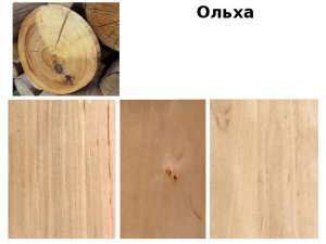 Преимущества мебели из ольхи