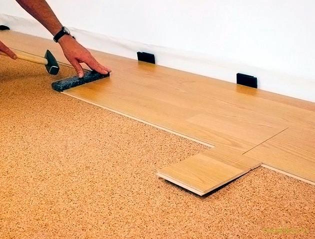 пола, особенности, выбора