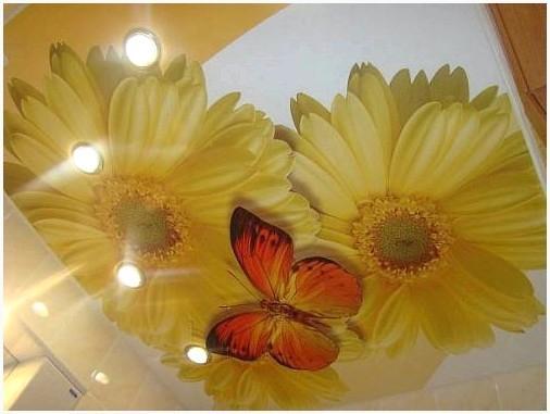 Французский натяжной потолок