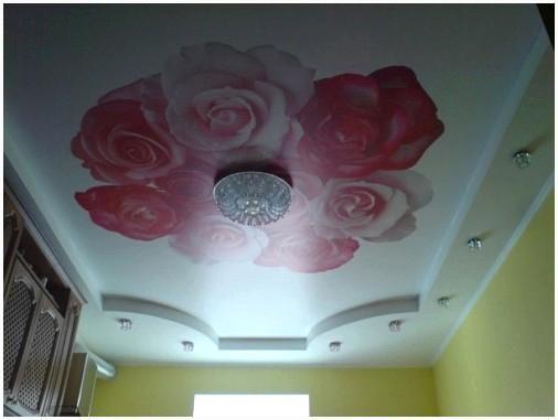 Французский натяжной потолок 3