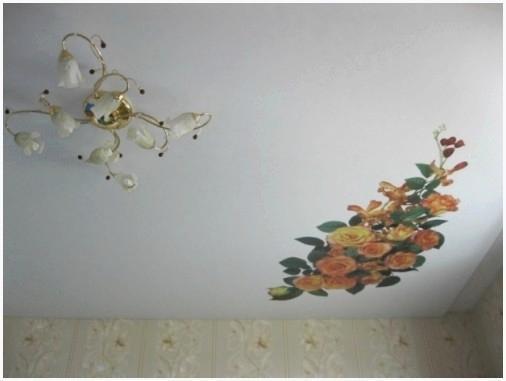 Французский натяжной потолок 4