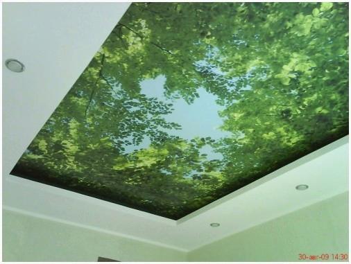 Французский натяжной потолок 7