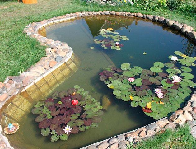 декоративный, водоем