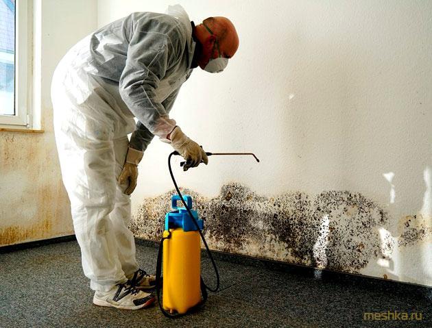 составы, удаления, плесени составы, удаления, плесени