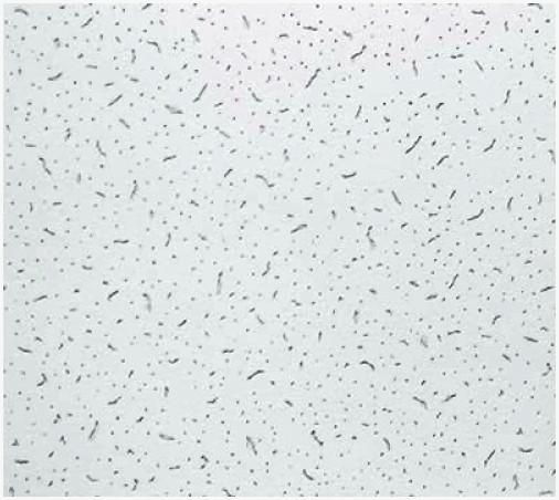 Панель потолочная Baikal