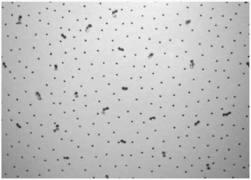 Потолочная панель Decorative