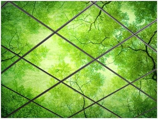 Стеклянные потолочные панели с фотопечатью