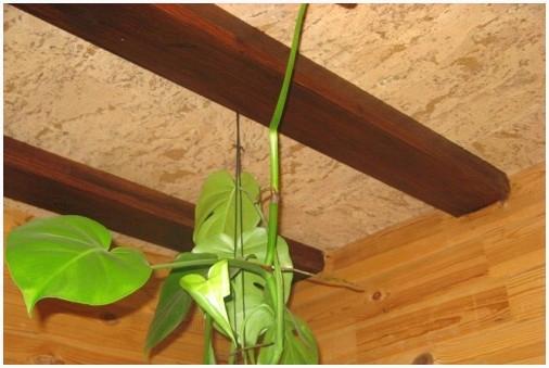 Утепление потолка пробкой