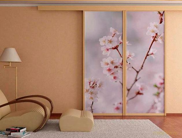 стеклянная, дверь, рисунком