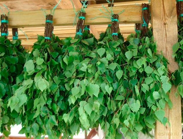 заготовка, веников заготовка, веников